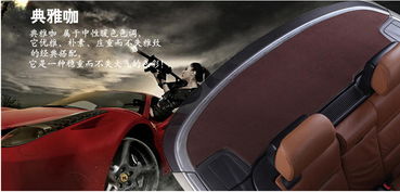 飛石專(zhuān)車(chē)專(zhuān)用汽車(chē)后櫥窗墊 提升駕駛安全的貼心設(shè)計(jì)